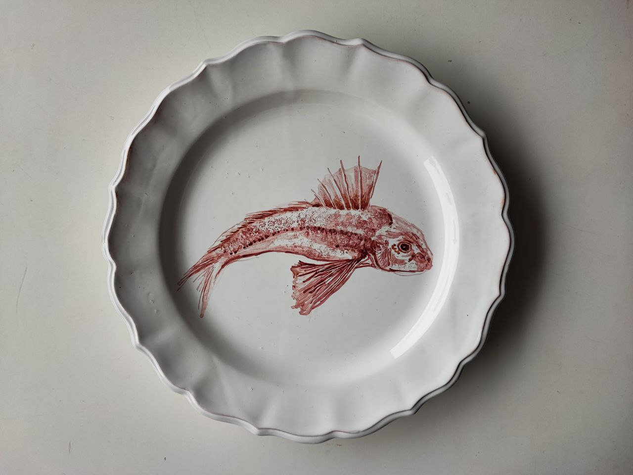 Ceramiche pesci dell’Adriatico